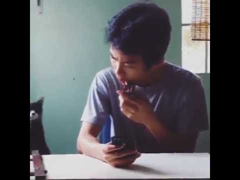 Lol Cat ringtone!!!