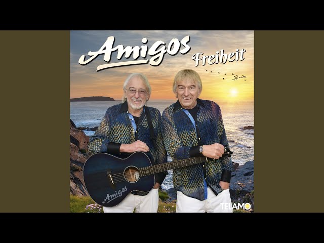 Amigos - Nachts in ihren Träumen