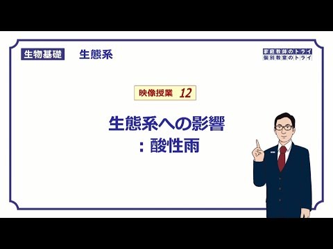 【生物基礎】　生態系12　生態系への影響：酸性雨　（１２分）