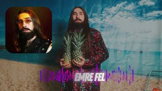 Bir Güldün Beni Geri Döndürdün - Emre Fel