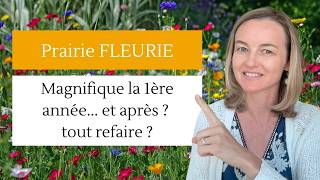 Prairie fleurie : Magnifique la 1ère année... et après ? Voici comment éviter de toutrefaire !