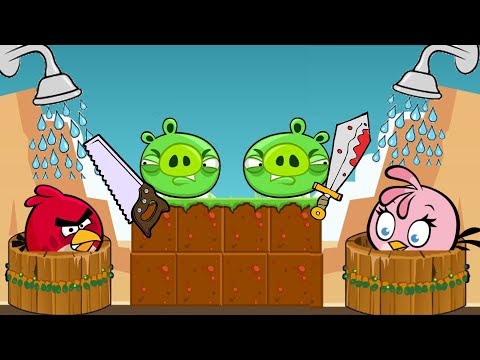 Angry Birds Take A Shower 2 - PIGGIES GOT MAD AFTER SHOWER BEING STOLEN!