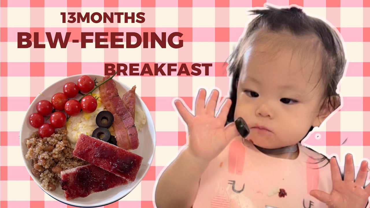 Baby Led Weaning BLW FeedingBLW Meal143monthsBaby Eating foodEat