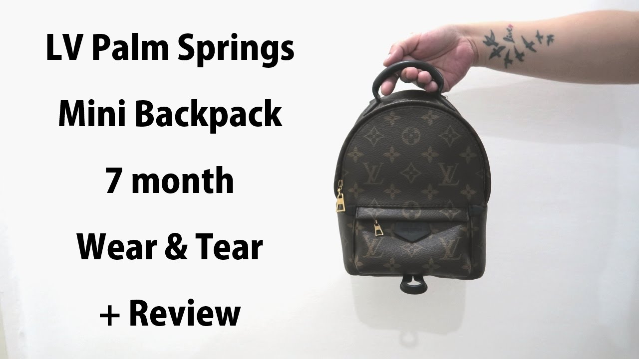 LV PALM SPRINGS MINI WEAR & TEAR REVIEW - YouTube