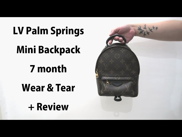 Louis Vuitton Palm Springs Mini Review + Wear & Tear