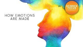 How emotions are made screenshot 4