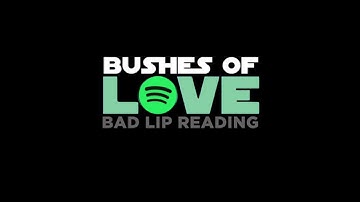 Thumbnail of Bushes of Love (Official Audio Version) - Bad Lip Reading