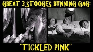 Great 3 Stooges Running Gag: "Tickled Pink"