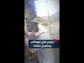لقطات مثيرة مربي نحل سوداني يوثق جانبا من عمله اليومي في جمع العسل