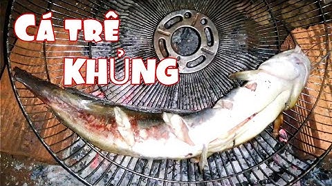 Nướng nguyên con cá trê to chà bá luôn.