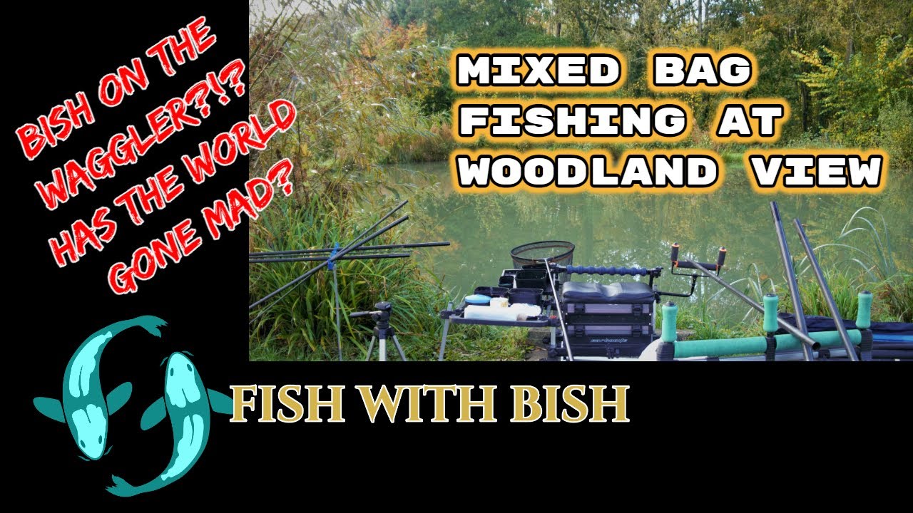 Pole Fishing for Beginners ,Mixed Bag at WOODLAND VIEW YouTube