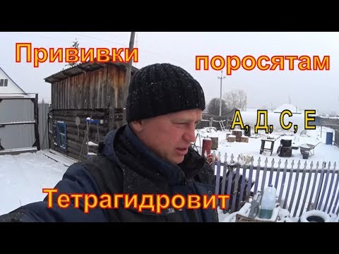 Бейне: 7q10 ағыны дегеніміз не?