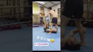 2017050902 toellgym.com