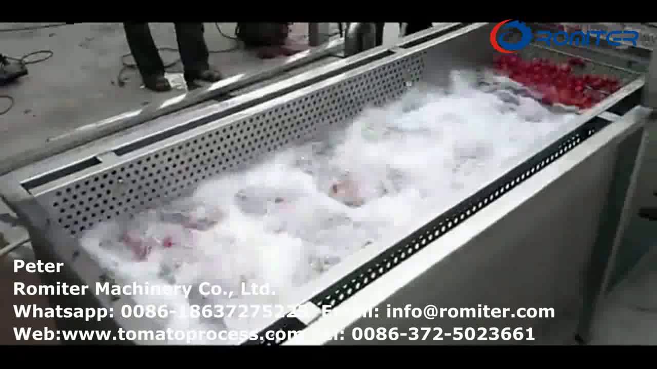 Automatic Air Bubble Type Tomato Washing Machine for Sale YouTube