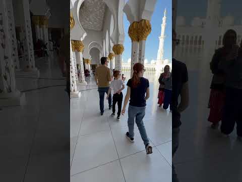 Sheikh Zayed Grand Mosque 🕌 Abu Dhabi #abudhabi #mosque #dubai #youtubeshorts #shorts #culpamia