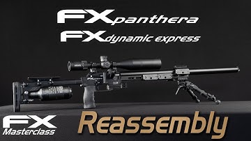 Reassembly FX Panthera - FX Masterclass
