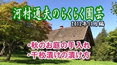 河村通夫のらくらく園芸13年8月 ベジタブルガーデン 手ぼうきの使い方 しば漬け Youtube