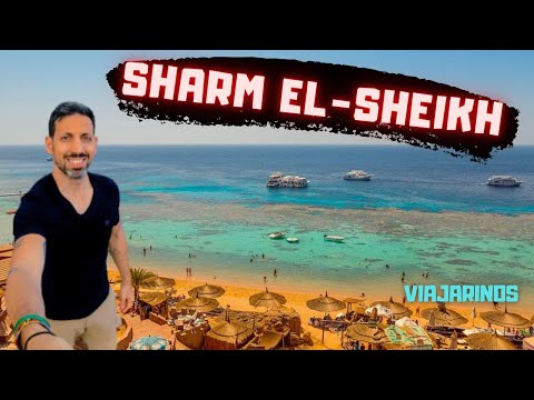 Vídeo: Segurança No Egito: A Situação Em Sharm Al-Sheikh Em Outubro De