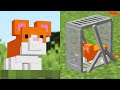 10 IDEAS for Pet Updates in Minecraft