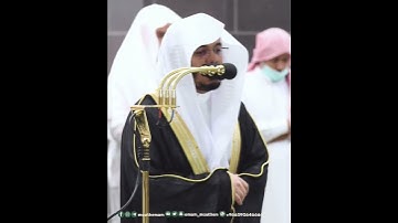 تلاوة آسرة من سورة البقرة بصوت الشيخ ياسر الدوسري