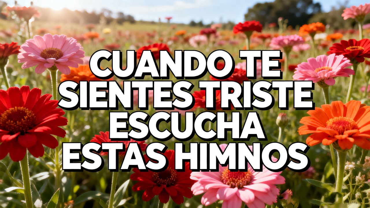 Cumbias del Sagrado Corazón ✝️ Las Más Bendecidas de la Semana