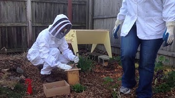 Loading Our Colorado Top Bar Beehive
