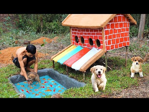How To Build Colors Water Slide House For Abandoned Puppies