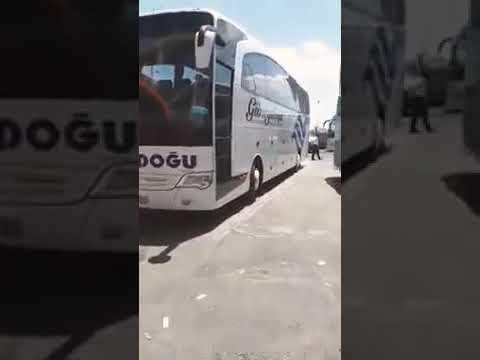 راجع على سورية 