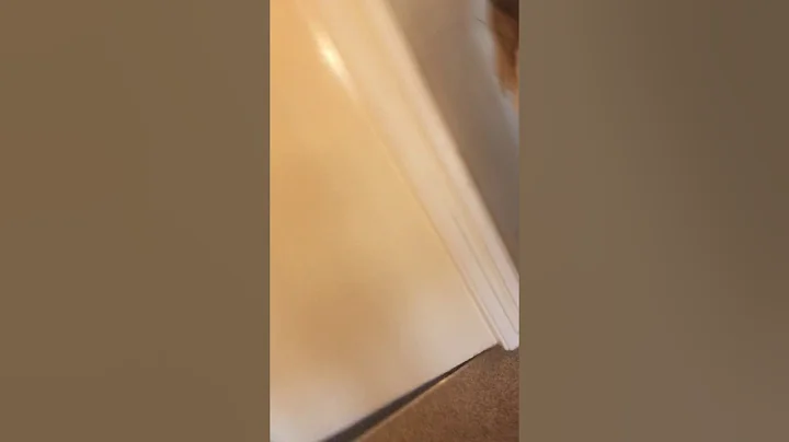 Room tour