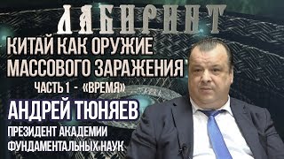 ЛАБИРИНТ |Китай как оружие массового заражения ч.1 "Время" | А. Тюняев & Джули По | IX-2018