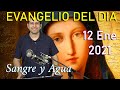 Evangelio Del Dia de Hoy - Martes 12 Enero 2021- Dios Quiere Que Todos Se Salven - Sangre y Agua