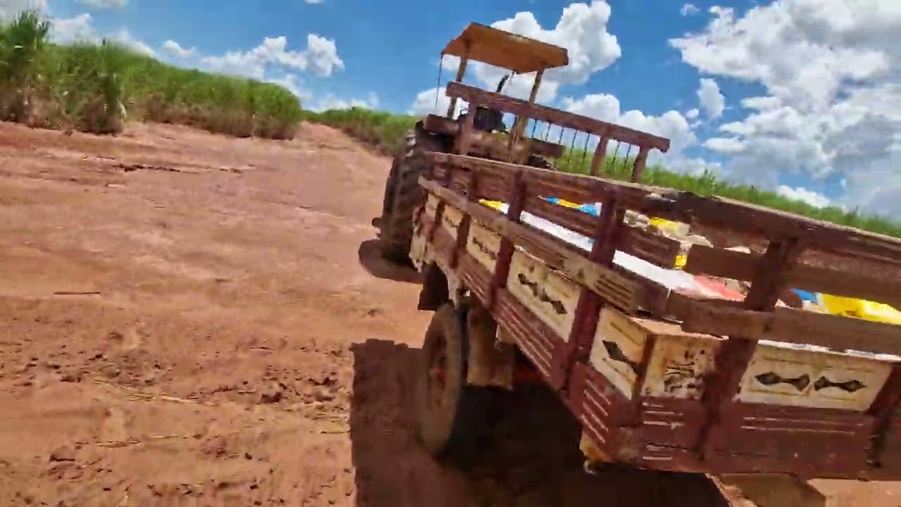 Lidando com a bezerrada: O dia a dia na nossa lida. 🤠