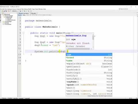 Static Access Modifier