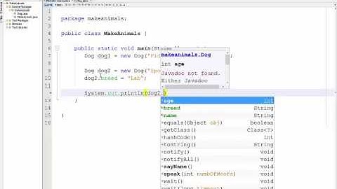 Static Access Modifier
