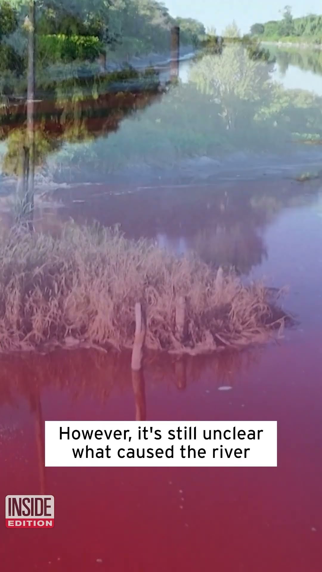 Why Did This River Turn Red? #shorts