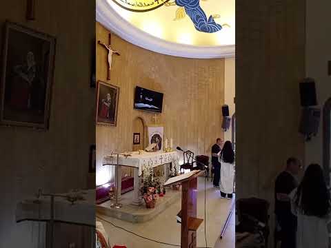 الأحد الثاني عشر بعد العنصرة إيمان المرأة الكنعانية