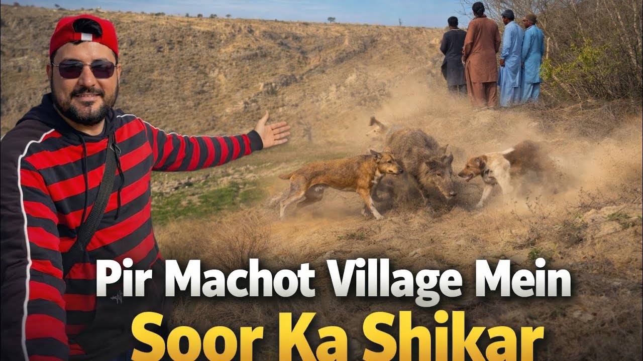 Pir Machot Jhelum Soor Ka Shikar | Hunting with Dogs Pakistan | Paharon Mein Hunting Vlog