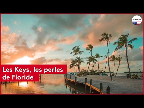 Vidéo: Visitez Key West : les meilleures choses à faire à Key Largo