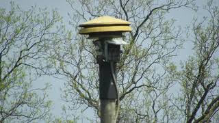 ACA Screamer S-5 | Alert | Kendallville, IN