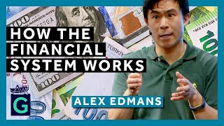 How the Financial System Works