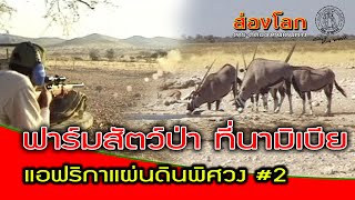 ส่องโลกพิศวง EP06 ตอน แอฟริกาแผ่นดินพิศวง 2 (ออกอากาศ 08 พ.ย. 2540) screenshot 5