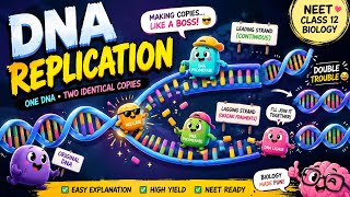DNA replication in simple terms for biology, for class 12 & NEET students #education #pw #biology