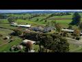 Alba Cheese | Indimax Productions