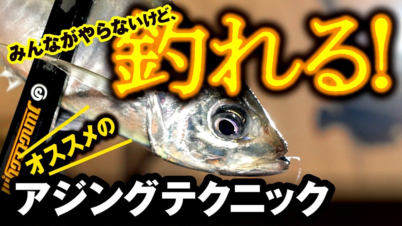 釣果で差をつける！みんながやらないオススメのアジングテクニック