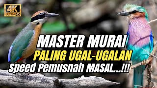 MASTERAN MURAI DENGAN NILAI TERTINGGI JURI‼️