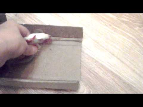 Мебель для Monster High