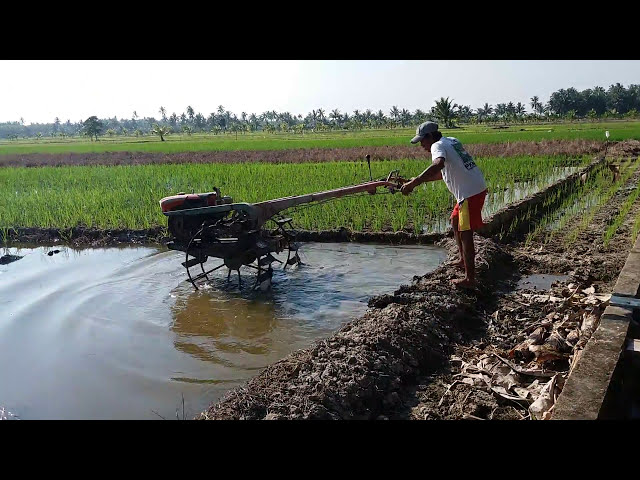 Pipanisasi, dan Traktor di Sarilaba A Sambas class=