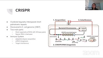 Protein Modeling (C) - Science Olympiad