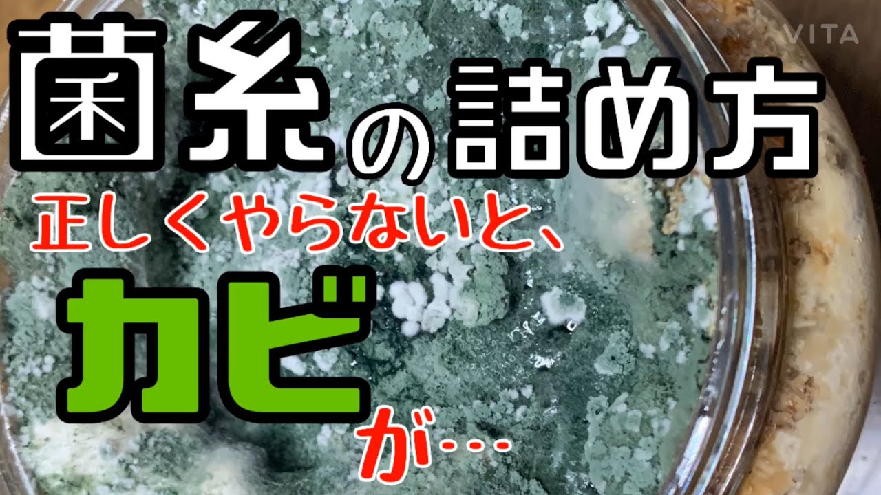 【徹底解説】菌糸ビンの作り方！○○するタイミングが、明暗を分ける！