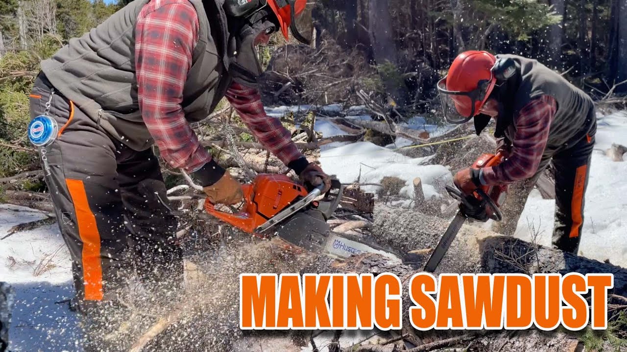 Smells Like Sawdust & Gasoline YouTube